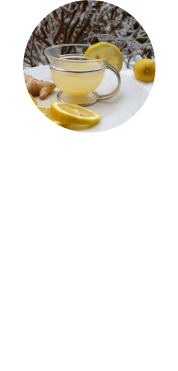 Immunsystem Stress, körperliche Belastung oder eventuelle Infekte - über das Jahr arbeitet unser Körper auf Hochtouren und unsere Abwehrkräfte müssen das ein oder andere bewältigen. Von großer Bedeutung für ein reibungslos laufendes Abwehrsystem sind zahlreiche Vitamine, Spurenelemente und sekundäre Pflanzenstoffe.Unser Immunsystem ist der wichtigste Schutzmechanismus unseres Körpers und unser Alltagsbegleiter. Immer im Einsatz, meist ohne dass wir es mitbekommen, ist es stark und effektiv. Es handelt sich um ein hochkomplexes Netzwerk, welches über den ganzen Körper verteilt ist….