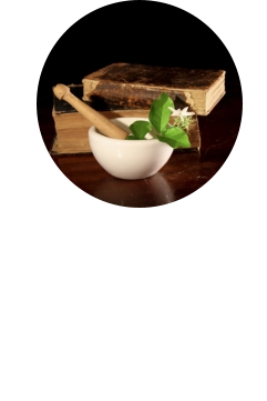 Kompetente Beratung  Unser Beruf ist unsere Leidenschaft! Für unser Team vor Ort, am Telefon oder in unserem Onlineshop steht eine vollumfängliche Beratung im Mittelpunkt.