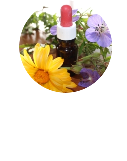 Homöopathieberatung  Sie suchen kompetente Beratung im Bereich Homöopathie? Dann sind Sie bei uns richtig!